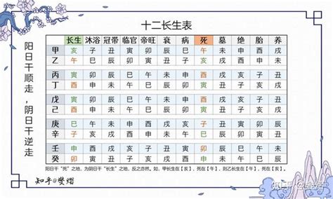 12長生表|八字算命基礎——十二長生